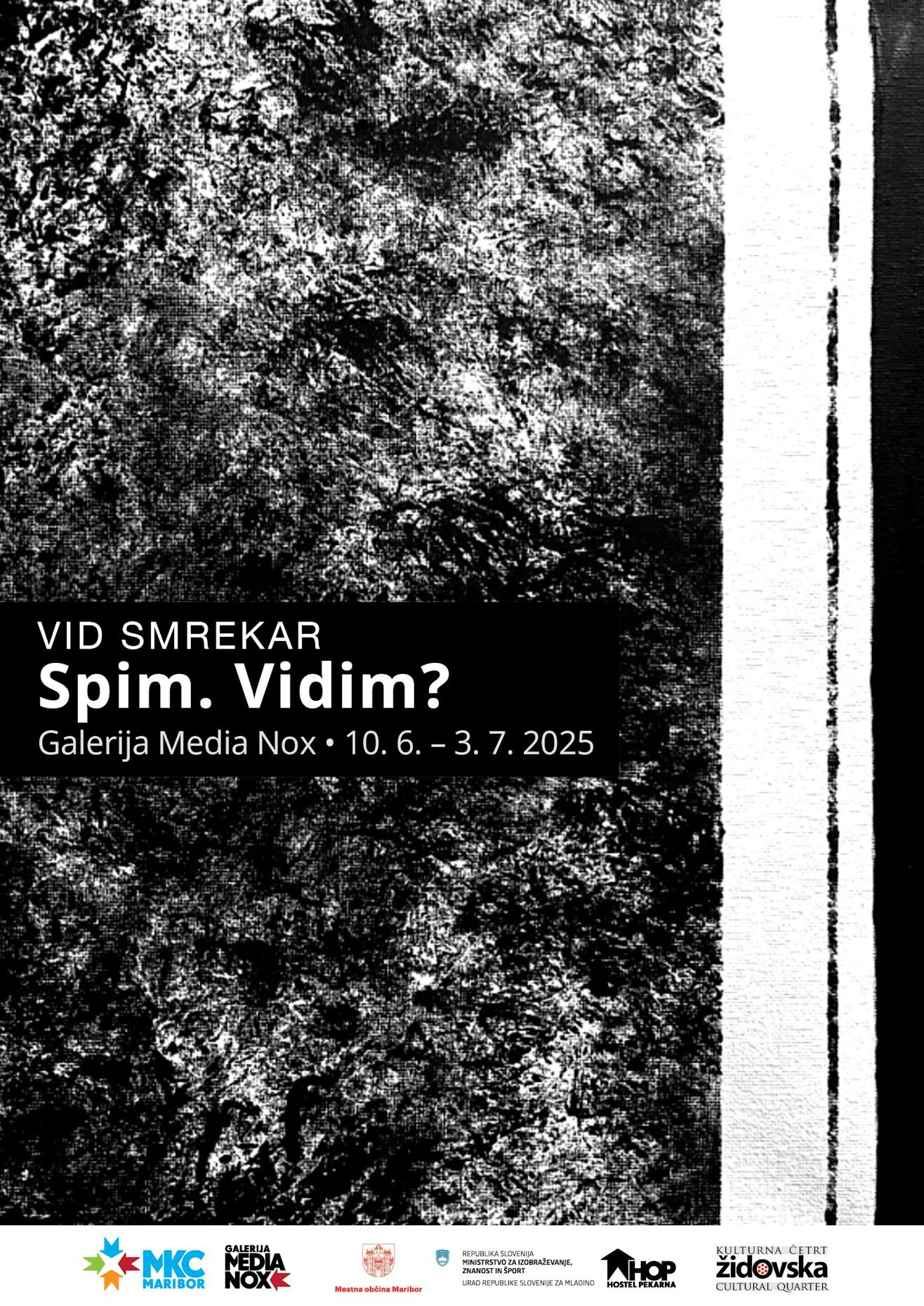 Razstava Spim. Vidim?
